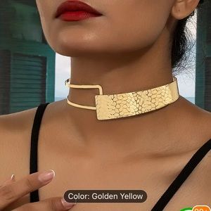 *NWT* Choker; Neck Accessory. Bold and Really Beautiful.👌